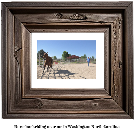 horseback riding near me in Washington, North Carolina